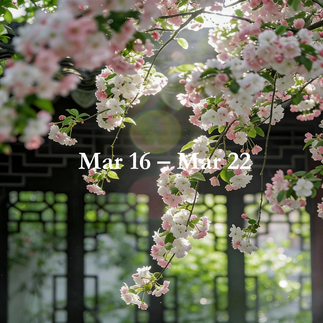 Energy Guide for Mar 16 – Mar 22,2026