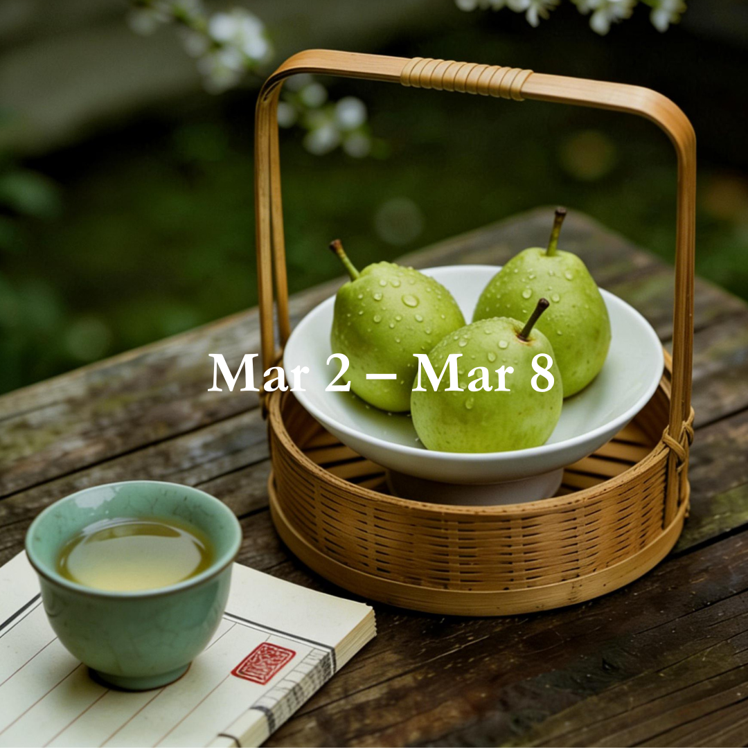 Energy Guide for Mar 2 – Mar 8,2026