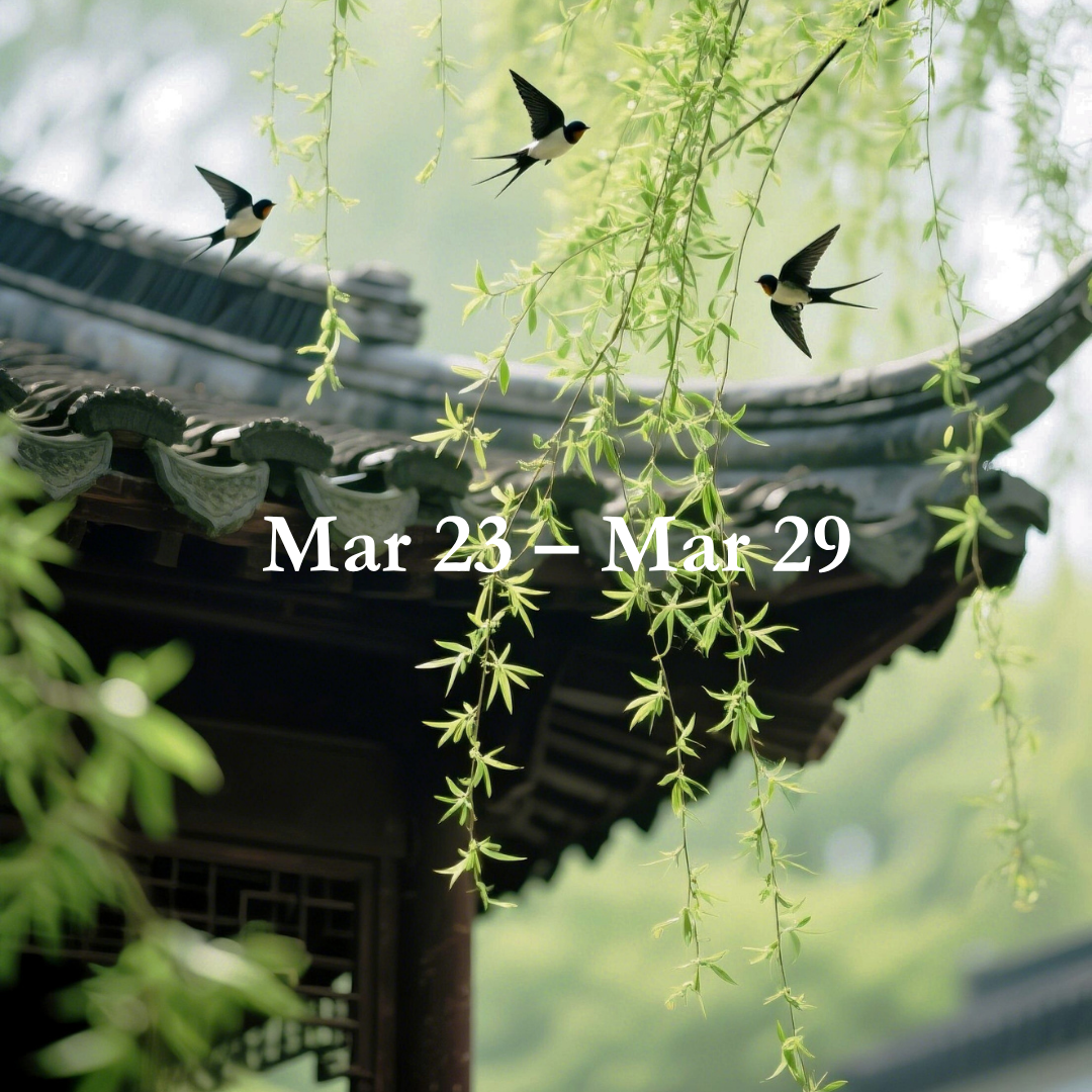 Energy Guide for Mar 23 – Mar 29,2026