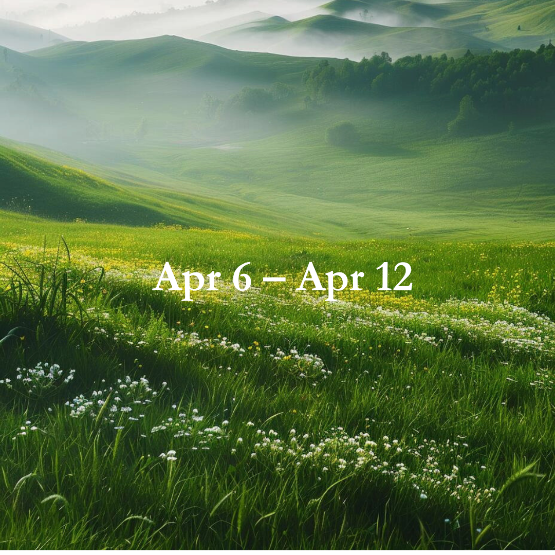 Energy Guide for Apr 6 – Apr 12.2026