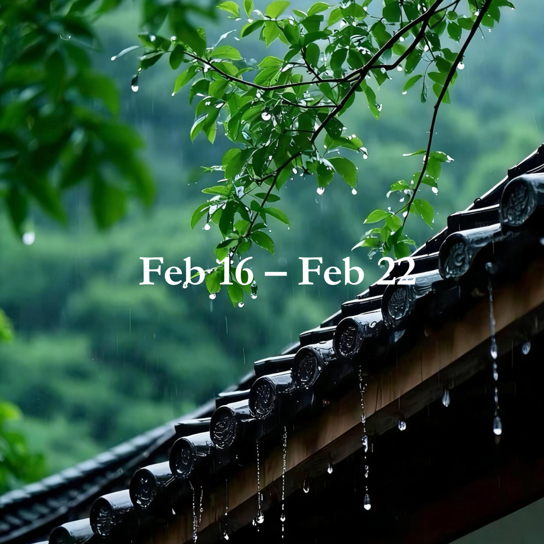 Energy Guide for Feb 16 – Feb 22,2026