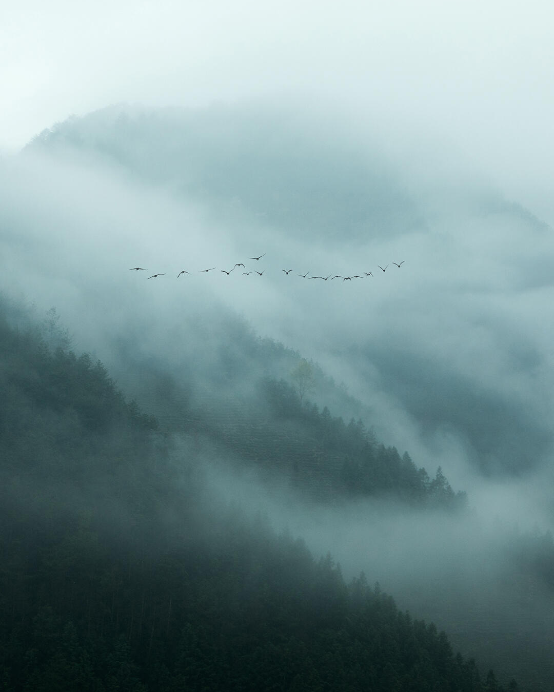 Why Generic Advice Doesn’t Work for You